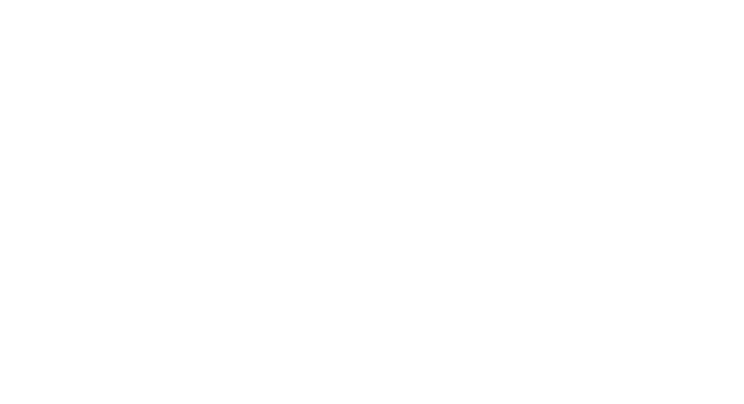 The Lumen Lights Logo W